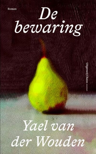 De bewaring - Yael van der Wouden