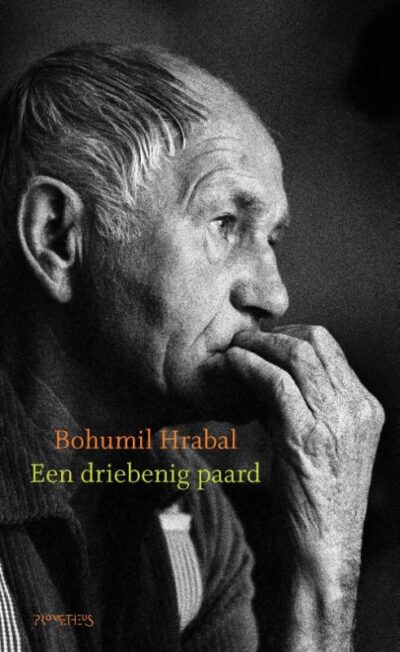 Een driebenig paard - Bohumil Hrabal