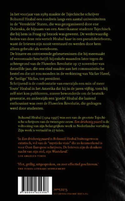 Een driebenig paard - Bohumil Hrabal - Afbeelding 2