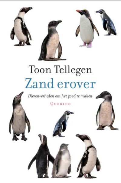 Zand erover - Toon Tellegen