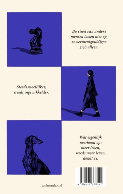 Intermezzo - Sally Rooney - Afbeelding 2