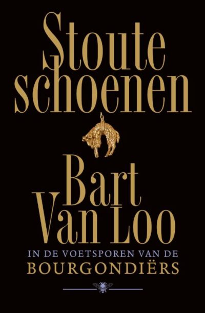 Stoute schoenen - Bart van Loo