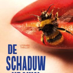 De schaduwvrouw - Anna van den Breemer