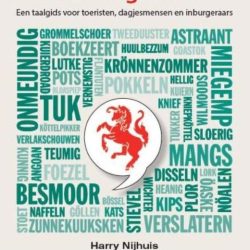 Twents voor beginners - Harry Nijhuis